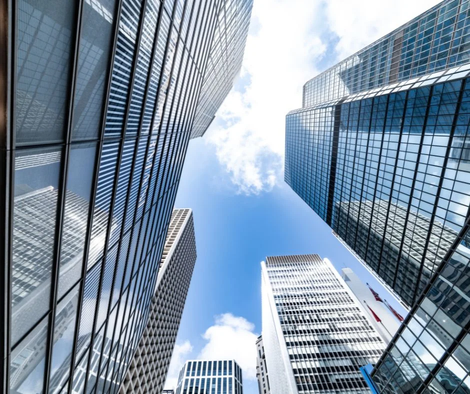 Secteur tertiaire, green consulting