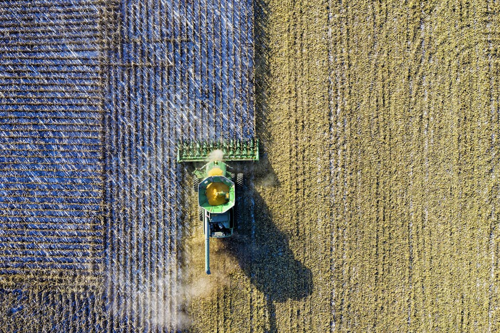Aerial drone shot of a combine harvester working in a cornfield during harvest season in rural Minnesota.